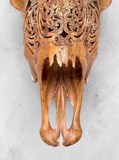 harley skull