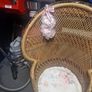 wicker chair Image 2