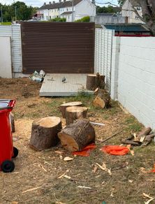 wood