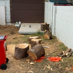 wood