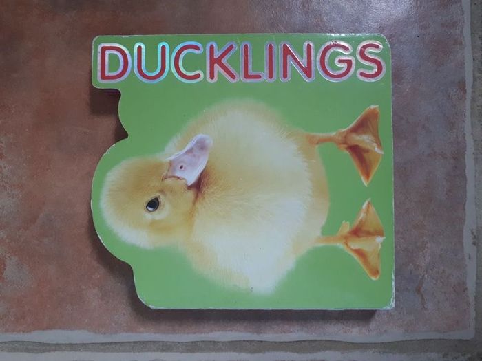 Ducklings Book
