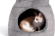 Cat Bed