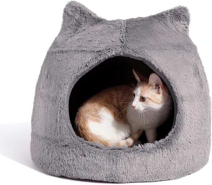 Cat beds x 2
