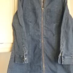 Ladies Denim Dress
