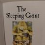 The Sleeping Giant Children,s Story Book Image 4