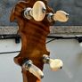 JRS Indian Chief Tenor banjo Image 6
