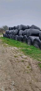 Silage bales