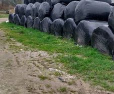 Silage bales
