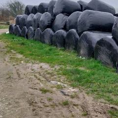 Silage bales
