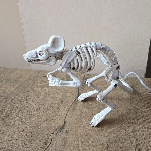 Halloween Skeleton mouse