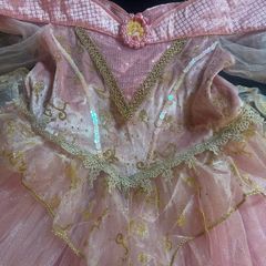 Disney princess sleeping beauty dress