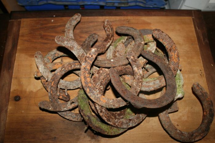 Vintage Horseshoe 10 each