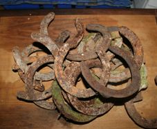 Vintage Horseshoe 10 each