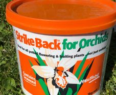 Strike Back for potted, fruiting, plants x 8