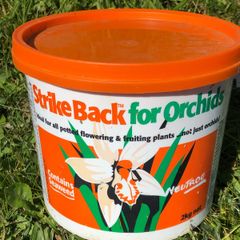Strike Back for potted, fruiting, plants x 8
