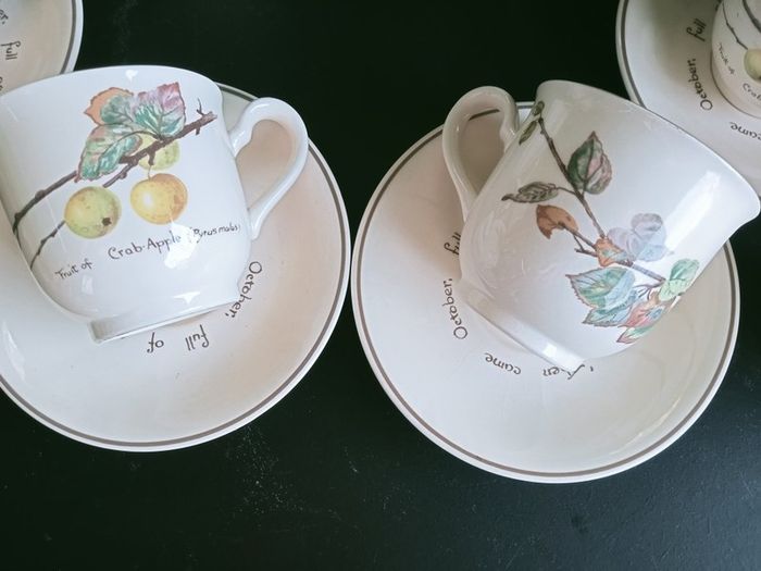 "The Country Diary of an Edwardian Lady" by Noritake Arklow