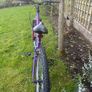 Mountain Bike Image 2