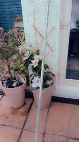 Domyos Weights Bar  189cm