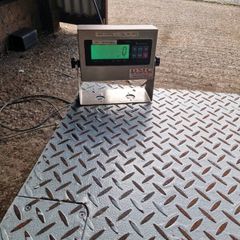 Platform weighing scales