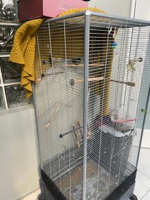 Large bird cage