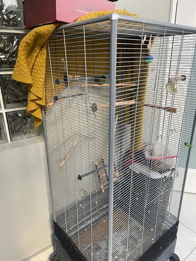 Large bird cage