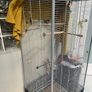 bird cage Image 2