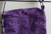 Tegaote Purple Crossbody Bag (Unused)