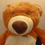 Teddy Bear Large Size Image 2