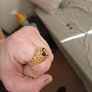 onyx 14k gold Image 3