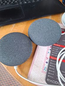 Google nest mini speakers