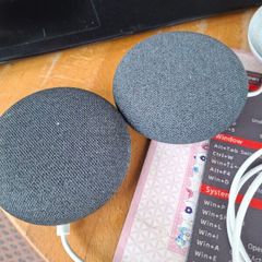Google nest mini speakers