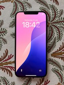 iPhone 12 Pro Max 256GB