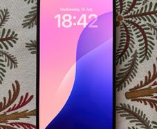 iPhone 12 Pro Max 256GB