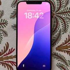 iPhone 12 Pro Max 256GB
