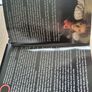 Blood for Dracula Criterion DVD rare OOP Image 8