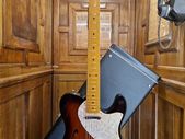 Fender AM Vintage '69 Thinline Telecaster 2012