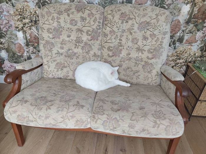 Single recliner and double couch set