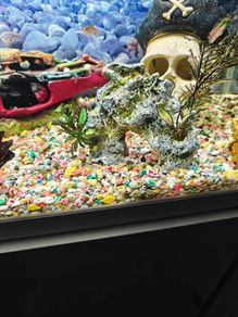Fish tank decoration