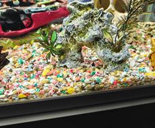 Fish tank decoration