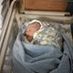 Mark Anthony1