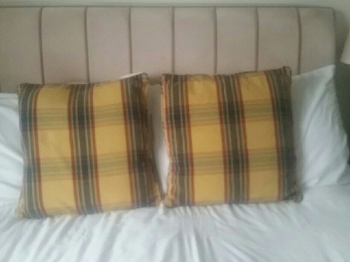 Cushion