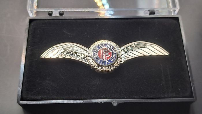 Irish Air Corps Pilot Wings, Clutch Backing