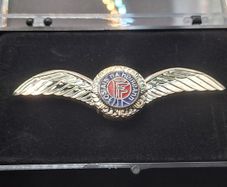 Irish Air Corps Pilot Wings, Clutch Backing