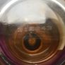 Frederic Malle Dries Van Noten 100 Mls Image 5