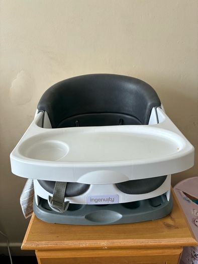 Baby Ingenuity seat