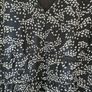 Ladies dress, Size 14 Image 3