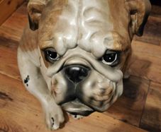 Bulldog statue