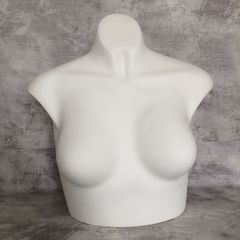 Half body mannequin