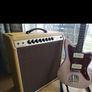Firebelly Handwired Princeton Reverb Image 2