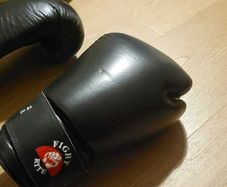 MuayThai Boxing Gloves